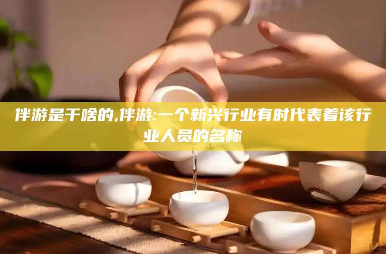 漳浦伴游是干啥的,伴游:一个新兴行业有时代表着该行业人员的名称