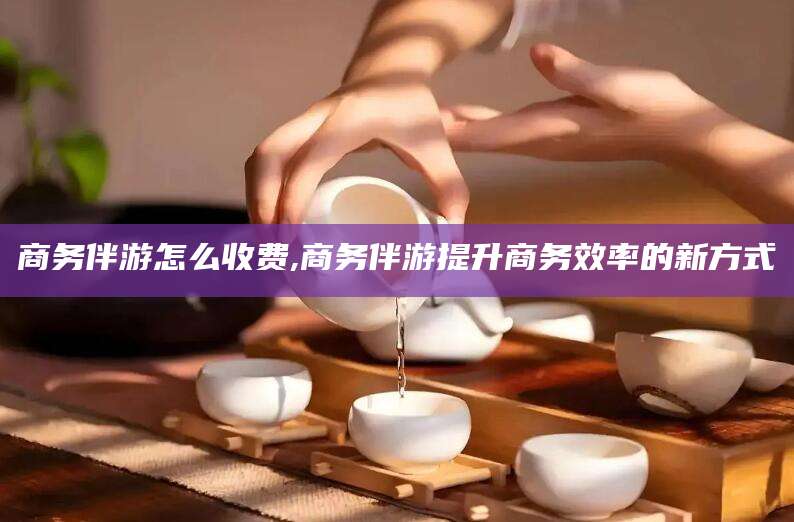 漳浦商务伴游怎么收费,商务伴游提升商务效率的新方式