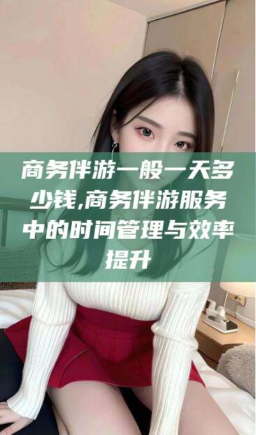 漳浦商务伴游一般一天多少钱,商务伴游服务中的时间管理与效率提升